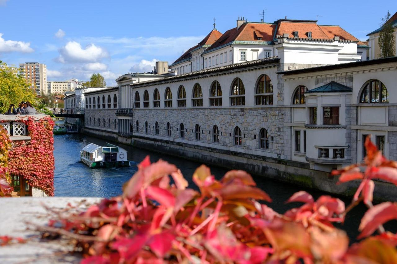 Apartment Villa Irena Great For A Family Holiday With Free Parking And Ev Station Ajdovščina 외부 사진