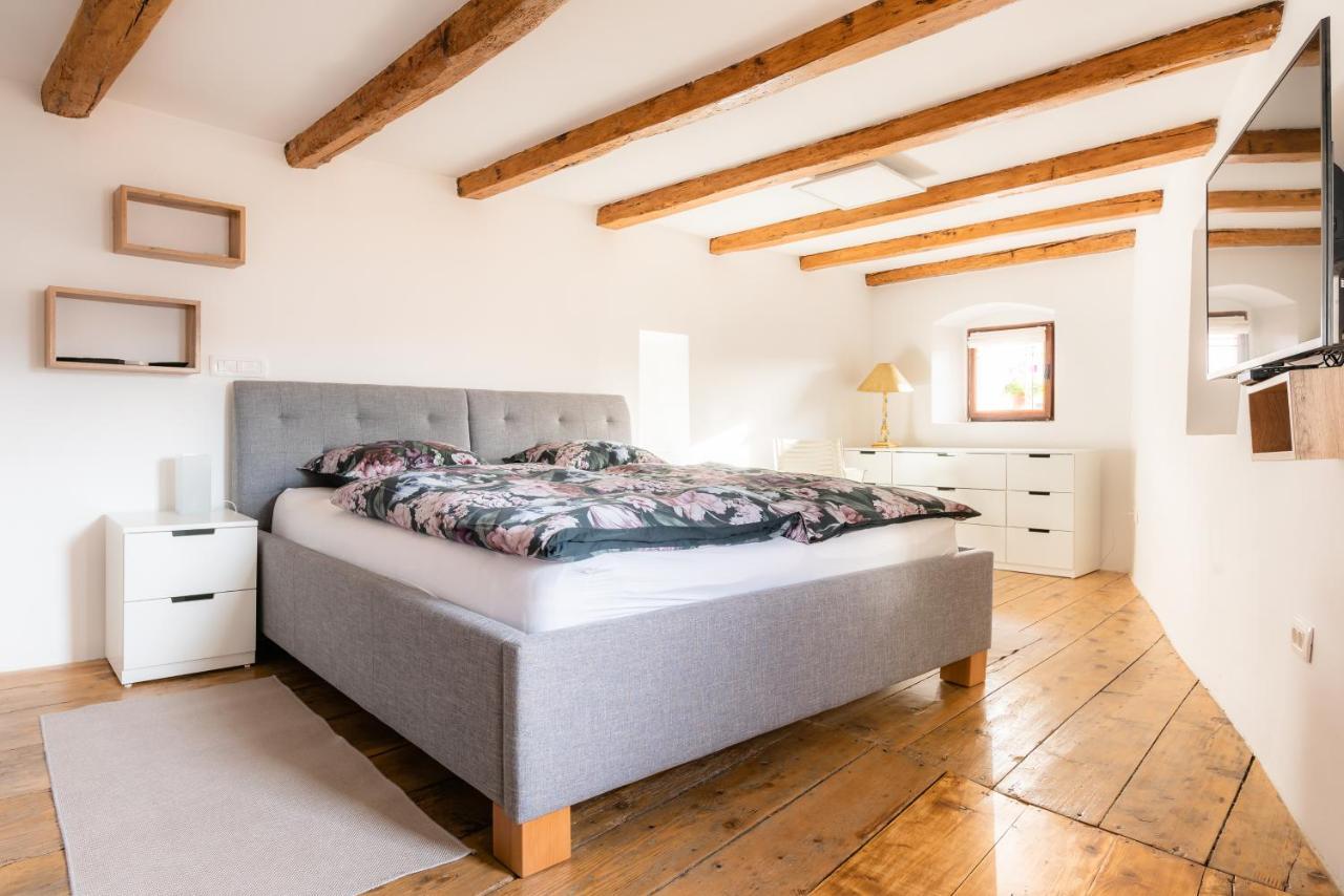 Apartment Villa Irena Great For A Family Holiday With Free Parking And Ev Station Ajdovščina 외부 사진
