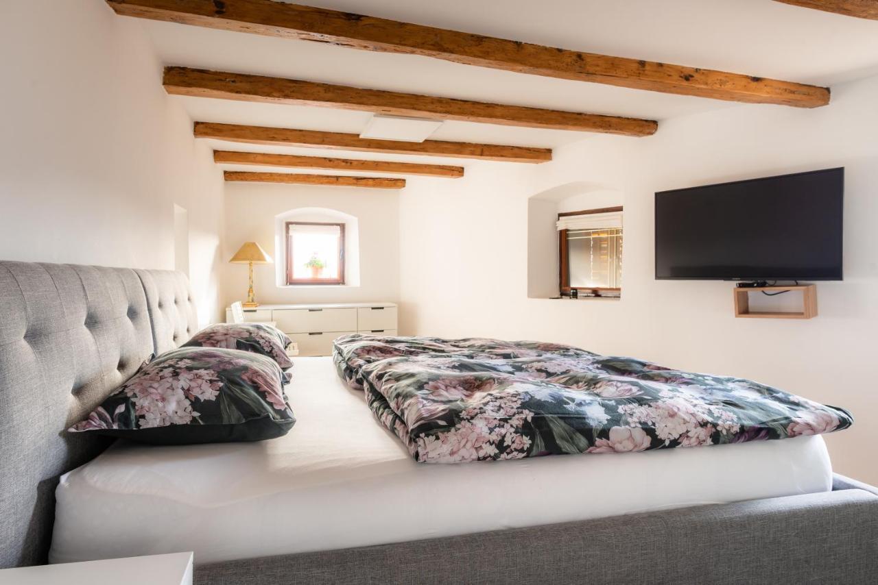 Apartment Villa Irena Great For A Family Holiday With Free Parking And Ev Station Ajdovščina 외부 사진